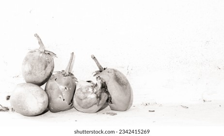 High key photography still life with Mimusops Elengi, also known as Spanish Cherry, isolated on white background. Bright mood. Close up. Soft focus. Black and White - Shutterstock ID 2342415269