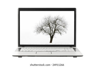 High Key Shot Of A Single Apple Tree In Winter, Displayed On A Laptop Screen