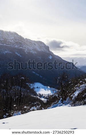 High limestone cliffs of the central Vercors covered in snow in winter, seen from the Coulmes Nordic ski area