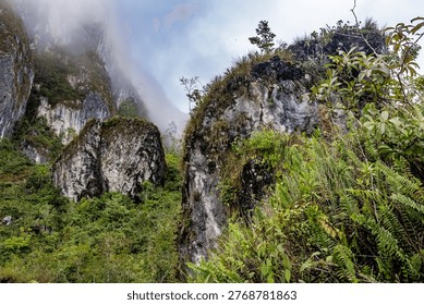High limestone cliffs surrounded by lush green trees and enveloped in thick white fog, creating a dramatic and moody atmosphere.