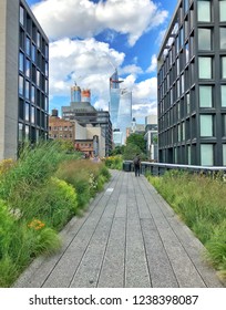 The High Line, New York City, Garden