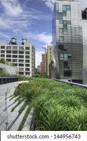 High Line In NYC In Manhattan With Blue Sky.