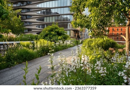 The High Line promenade in summer. Elevated greenway park in the heart of Chelsea, Manhattan. New York City