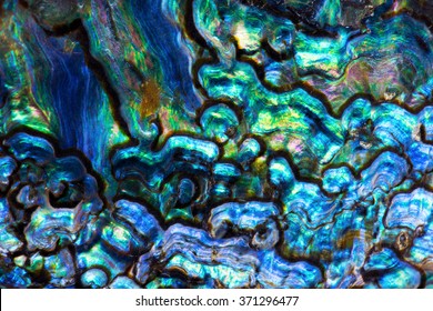 High magnification macro of blue abalone pearl shell with vivid iridescent layers.