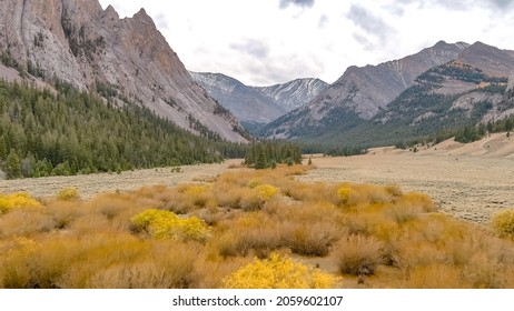 High Mountain Creek With Orange And Yellow Scrubs In Autumn