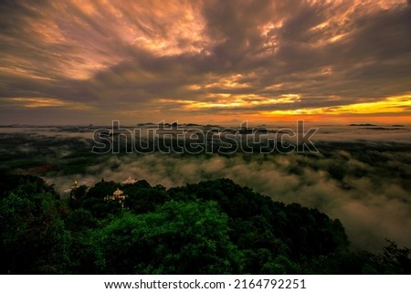 high mountain nature background that can see the scenery around, the fog covers the trees in a blur, the cool air, the beauty of the ecosystem