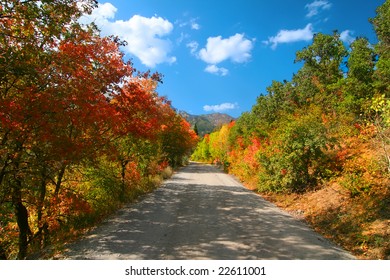 High Mountain Road In The Fall Showing All The Fall Colors