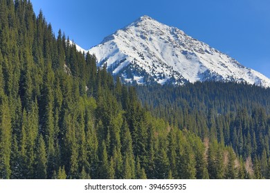 high mountains