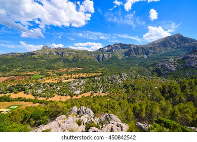 High mountains and green woods of Serra de Tramuntana on the island of Majorca in Spain