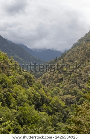 High mountains slopes covered in thick virgin forest and shrouded in cloud near the small village of senge near tawang in western arunachal pradesh, India.