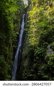 High narrow waterfall cascading down a steep rocky gorge surrounded by dense green vegetation