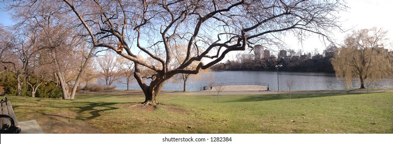 High Park In Toronto (180 Panorama)