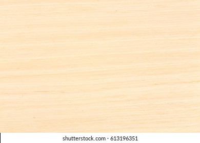 High Quality Ash Wood Grain Texture. Extremely High Resolution Photo.