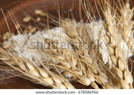 Similar – Image, Stock Photo Why Zen? Wheat Moonlight