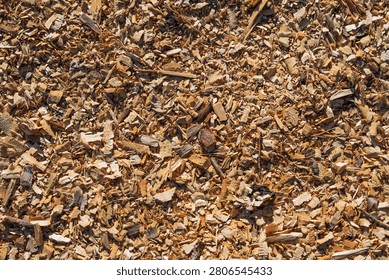 A high quality top down view of natural wood chips used for gardening, landscaping, and sustainable biomass fuel. The texture is perfect for eco-friendly design backgrounds.