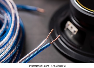High quality transparent speaker wire with speaker in the background.