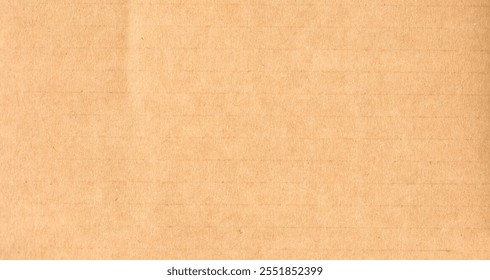 High Resolution Cardboard Brown Texture