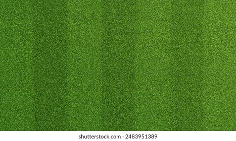 High Resolution Green Soccer Field Grass Texture Background