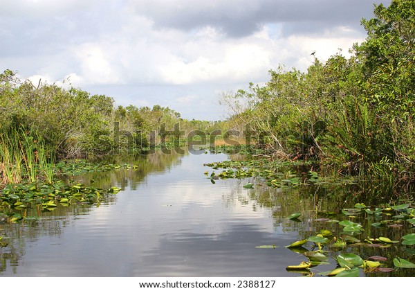 High Resolution Image Waterway Everglades Florida Stock Photo 2388127 ...