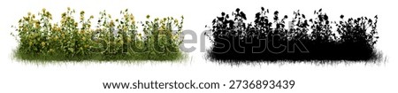 High Resolution Patch of Yellow Wildflowers and Green Grass Isolated on White Background