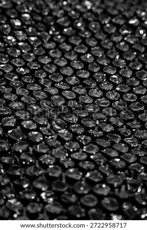 High Resolution Plastic Bubble Wrap Texture. black plastic buble wrap background