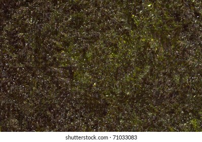 High Resolution Seaweed Nori Texture Background