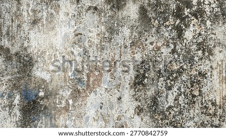 High resolution textured backdrop of a weathered, worn concrete wall. The surface displays a rich patina of peeling white paint, dark mold, green algae, and faded red and blue patches, creating an industrial, urban, or rustic aesthetic perfect for layered designs.