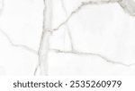 high resolution white Carrara marble stone texture, white satuario marble used for ceramic and porcelain digital printing tiles, white marble graphics 