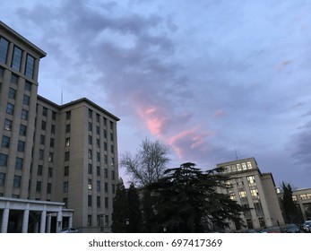 High Rise Apartments Tower Over Local Authority Housing And Flats Amidst A Splash Of Green Trees.