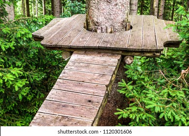 High Ropes Course At A Forest