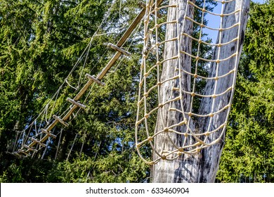 High Ropes Course At A Forest