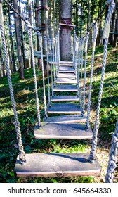 High Ropes Course At A Forest