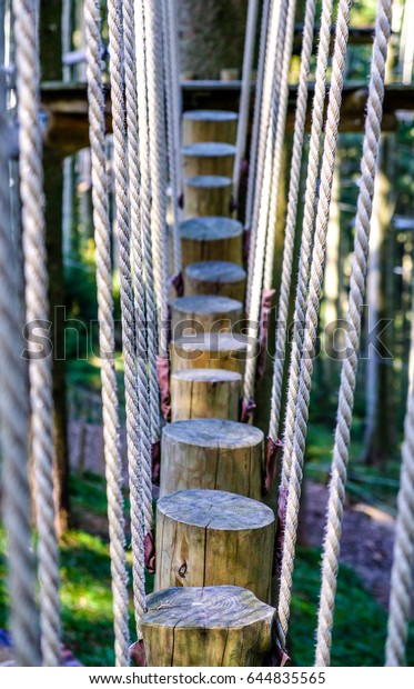 high ropes course at a\
forest