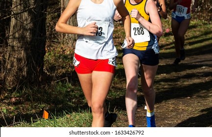 High School Cross Country Runners Running Through A Path In The Woods During A Invitational Race.