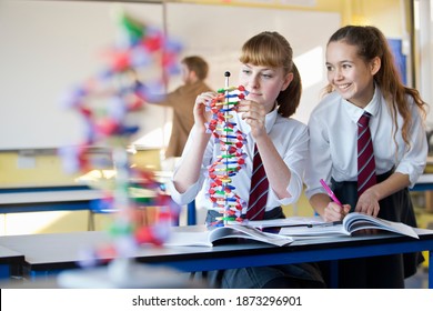 High School Girl Assembling A Helix DNA Model In A Science Class With Her Classmate Standing Next To Her.