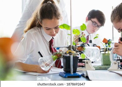 High School Girl Making Notes While Conducting Scientific Experiment On A Plant During A Biology Class.