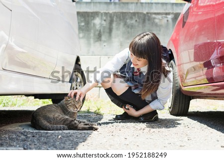 High school girl petting a stray cat
