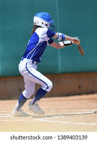 High School Girls Making Plays During A Softball Game