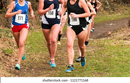 High school girls on a dirt path in the woods during a cross country invitatiional race in late autumn.