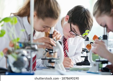 High School Students Making Notes While Conducting Scientific Experiment Using Microscopes In A Biology Class.