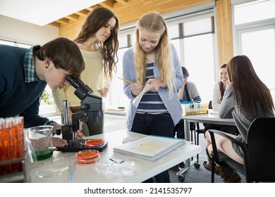 High school students using microscope in science class - Powered by Shutterstock - Get 15% off with code: PIKWIZARD15