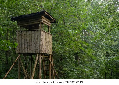 High Seat Of A Hunter In The Black Forrest. Tree Stand, Ladder Stand Or Deer Stand. Deer Hunting.