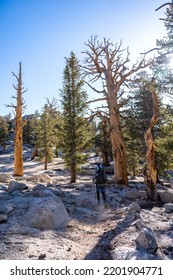 High Sierra Nevada Mountain Range