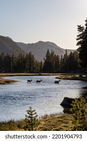 High Sierra Nevada Mountain Range