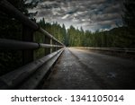 High Steel Bridge, a truss arch bridge above Skokomish River near Shelton, Washington, USA