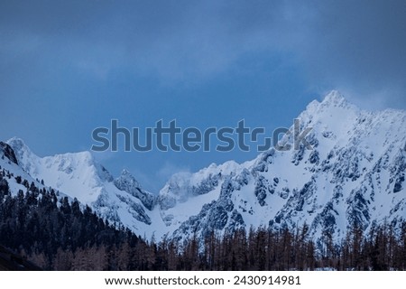 High Tatras mountain at Strbske Pleso Slovakia Сток-фото © 