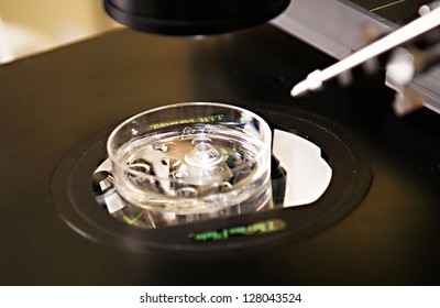 High Tech Lab Equipment Used In The In Vitro Fertilization Process