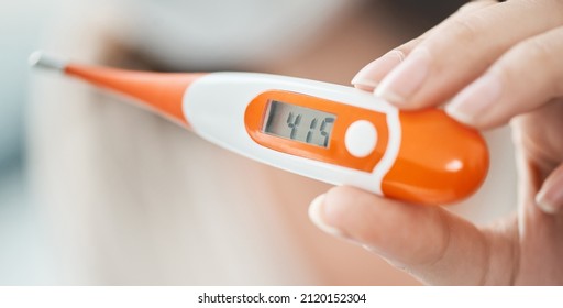 High Temperature Is An Indicator That You Might Be Falling Ill. Shot Of A Woman Holding Up A Digital Thermometer That Reads 41.5 Degrees.