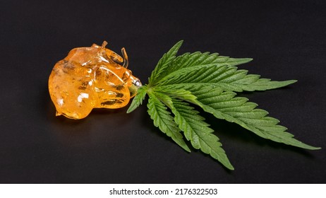 High Thc, Pieces Of Golden Yellow Cannabis Wax And Green Leaf, Marijuana Concentrate On Dark Backround.