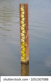 High Tide Indicator